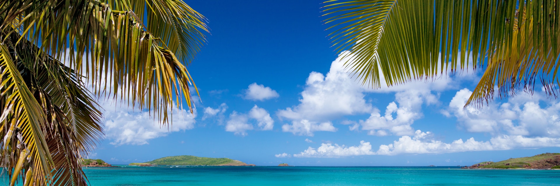 palm trees at Playa Tortuga (Turtle Beach) on Isla Culebrita, Puerto Rico